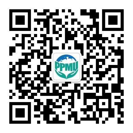 1597304778767293.jpg
